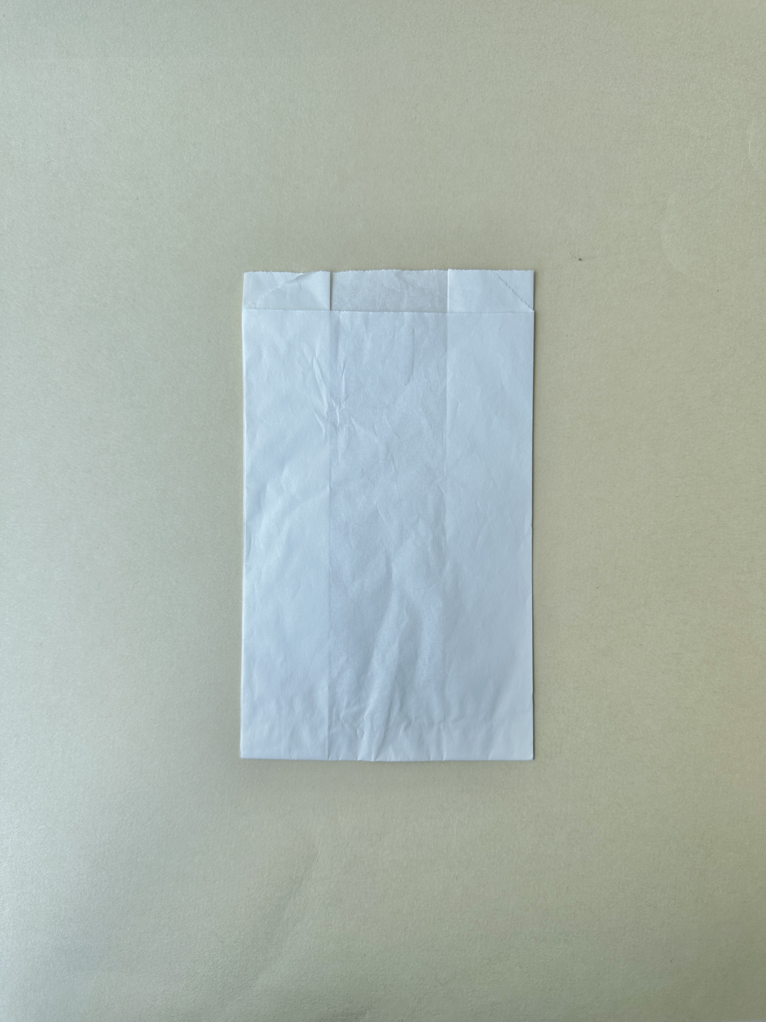 Paper Bag